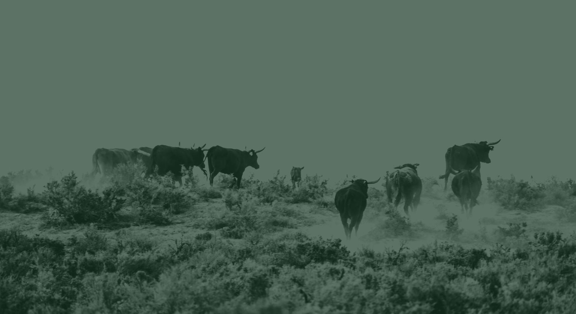 Onramp Launches a Global Bitcoin Asset Management Platform Built on Multi-Institution Custody