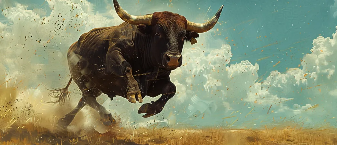 Bitcoin's Bullish Set Up