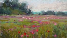 The Sat Standard - November 14th, 2020