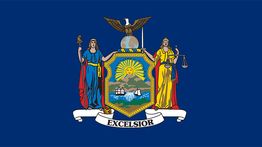 #984: New York wants its citizens to suffer