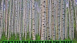 Issue #1259: Bitcoin is action. The accumulated momentum is going to be hard to stop.