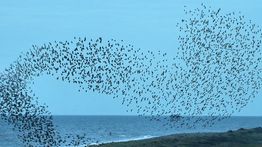 Issue #1279: Society's problem is a simple one