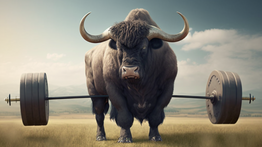 Issue #1307: Momentum is building in the bear market