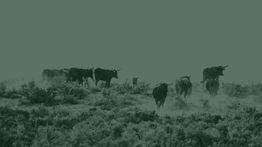 Onramp Launches a Global Bitcoin Asset Management Platform Built on Multi-Institution Custody