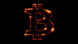 Issue #732: Bitcoin is changing how we interact with the Internet