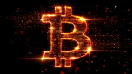 Issue #372: Money as a social contract