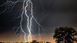 Issue #667: Lightning Channel Breakdown