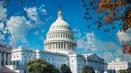 The Battle for Bitcoin: Overcoming Political Challenges with Perianne Boring