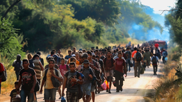 Subsidizing the American Dream: The Financial Realities of Immigration in the US