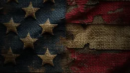 Issue #1107: It's getting harder to deny we are living through a controlled demolition