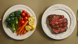 The Carnivore Cure: Victor Muh's Plant-Free Paradigm