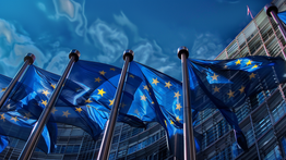 Populist Right Gains Ground in EU Elections