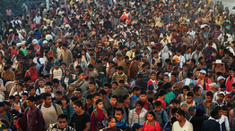 Shocking $150 Billion Deportation Price Tag