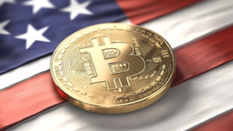 Democratic Party Omits Bitcoin from 2024 Platform