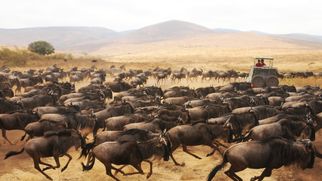 The Sat Standard - January 25th, 2020