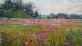 The Sat Standard - November 14th, 2020