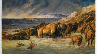 The Sat Standard - June 19th, 2021