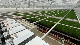 Issue #1240: Another downward difficulty adjustment is on the way