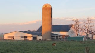 Issue #1252: The Nanny State refuses to leave people alone