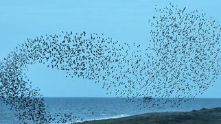 Issue #1279: Society's problem is a simple one