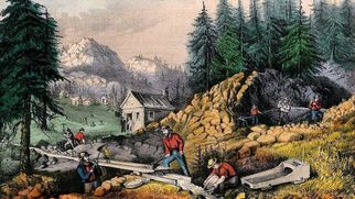 The International Digital Gold (Bitcoin) Rush.