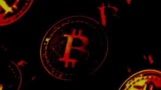 Issue #743: Post-Halving Dynamics