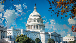 The Battle for Bitcoin: Overcoming Political Challenges with Perianne Boring