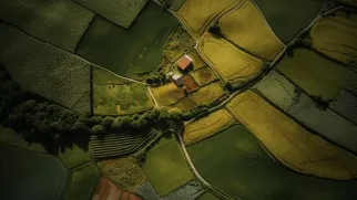 America's Farms are Getting Wiped Out