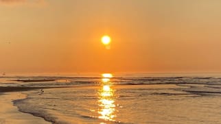 Summer Days: Generational Health