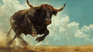 Bitcoin's Bullish Set Up