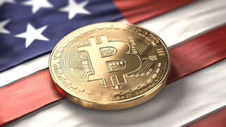 Democratic Party Omits Bitcoin from 2024 Platform