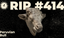 414: The Dollar Endgame is here with Peruvian Bull