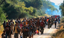 Subsidizing the American Dream: The Financial Realities of Immigration in the US