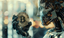 The Evolution of Capital: Cam Doody on Bitcoin's Transformative Power