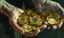 Beyond the Bitcoin Boom: Embracing the Infinite Money Game with Mark Moss
