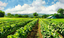 Reviving the Land: Allan Savory's Agrarian Wisdom