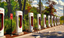 The EV Bubble: Bursting the Green Dream