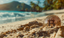 Blink Establishes "Blink Private," an Exclusive Bitcoin OTC Desk in El Salvador