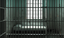 Binance’s Changpeng Zhao Reports to Lompoc Prison in California