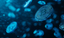 Mt. Gox Trustee Extends Creditor Repayment Deadline to 2025