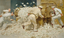 The Great Debasement Trade Is On And Bitcoin Is Positioned Beautifully